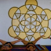 yin yoga eastern teacher training with annie au