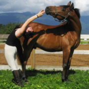 yoga teacher training and horses