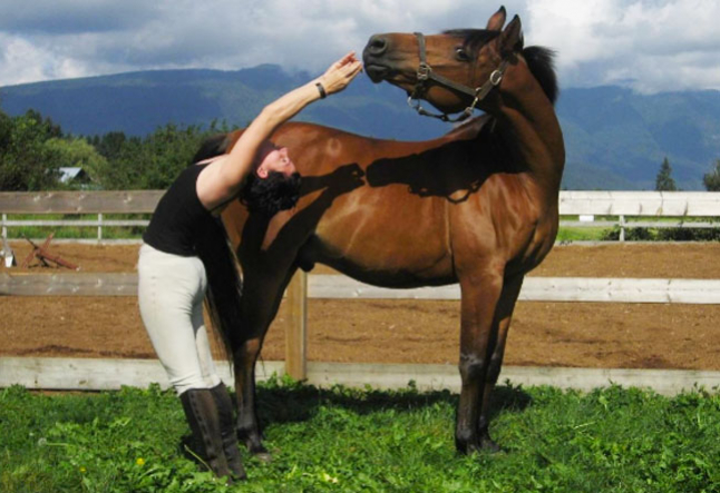 yoga teacher training and horses