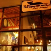 Purrington's Cat Lounge