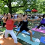 yogapalooza!