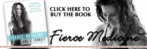 Buy Ana Forrets Book Fierce Medicine on Amazon