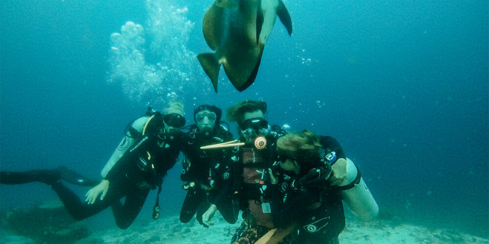 After more than ten dives, we felt at home under the water.