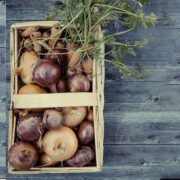 Box of sustainably grown vegetables self sustainable